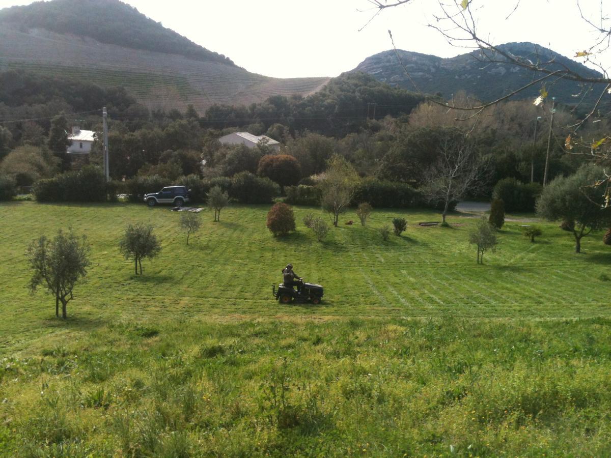 Agreable Location Au Coeur Du Vignoble Dominici Therese *