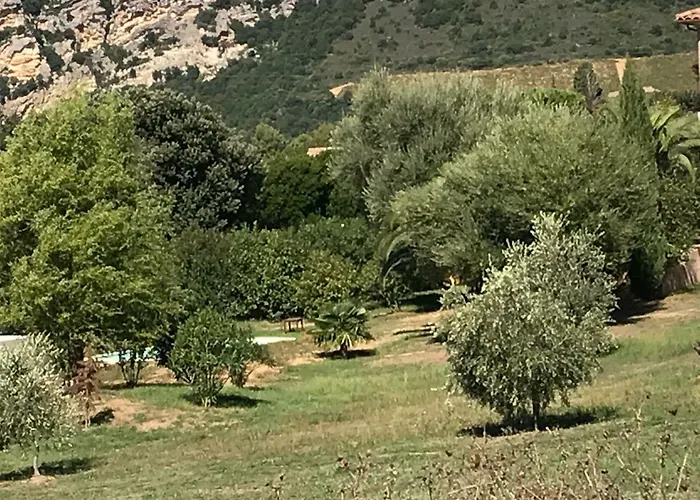 Agréable Location au coeur du vignoble DOMINICI THERESE