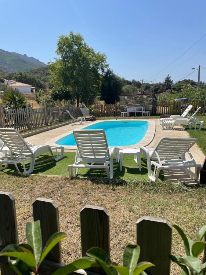 Location Au Coeur Du Vignoble Dominici Therese Patrimonio