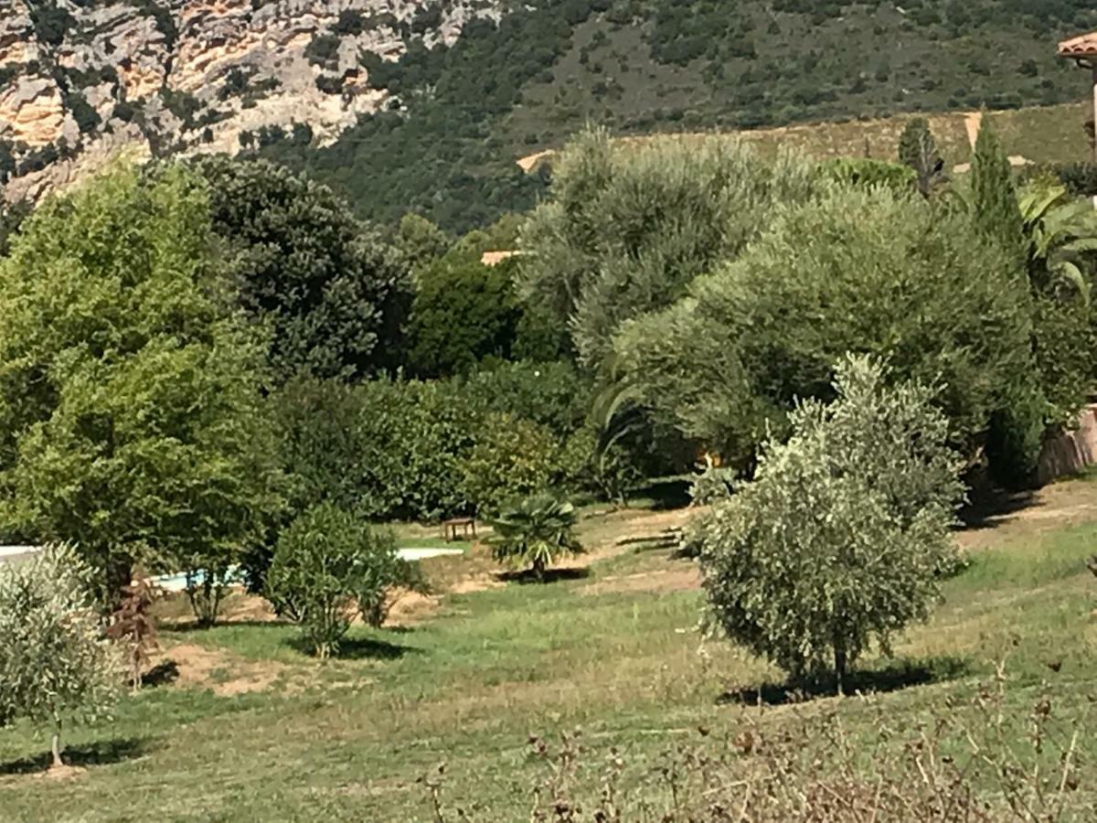 Location Au Coeur Du Vignoble Dominici Therese Appartement Patrimonio